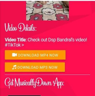 How to Download Tik Tok videos in 3 easy step [2020]