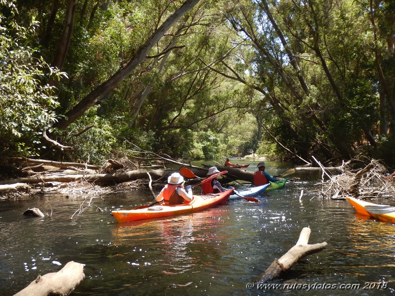 Kayak río Palmones