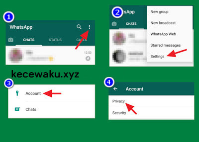 cara menyembunyikan status online whatsapp