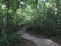 palenque viaggio in solitaria