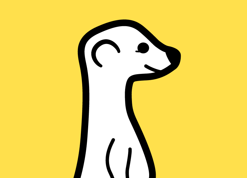 Meerkat a aplicação sensação do momento!