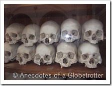 Skulls Close-up