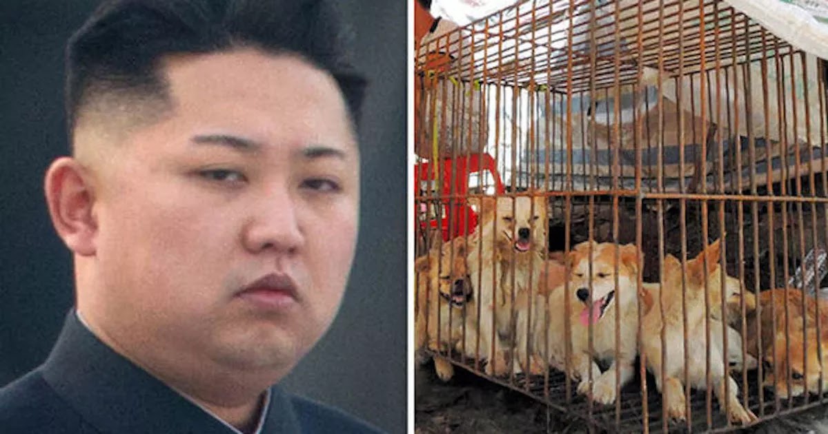 Sources Claim North Korean Elites Are Feasting On Dog Meat While Their People Starve