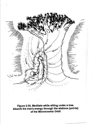 Afbeelding: Meditate while sitting under a tree