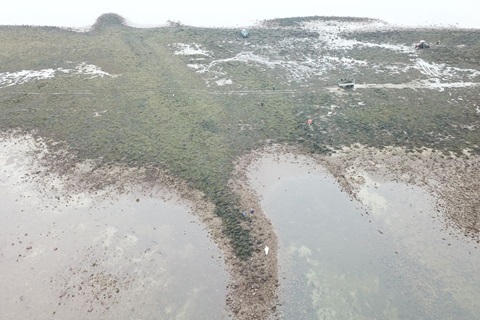 Des archéologues découvrent un fort préhistorique englouti sur l'île de Clew Bay