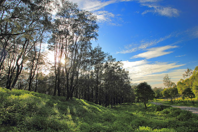 Hutan Fatu Nausus