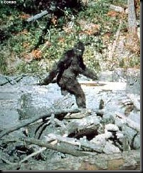 big foot