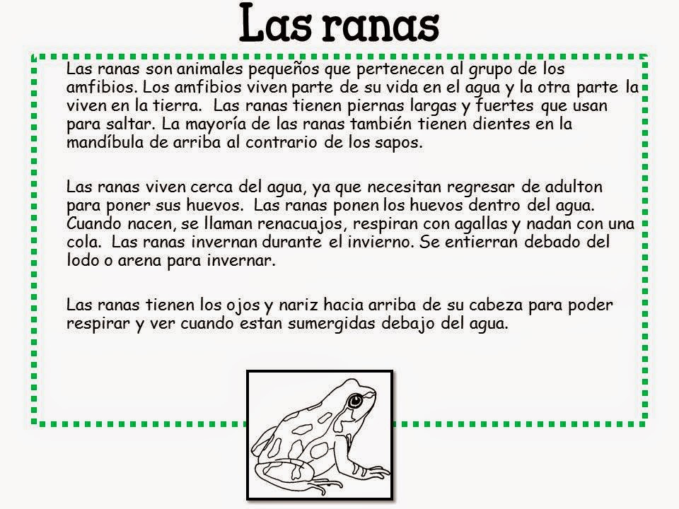 http://www.teacherspayteachers.com/Product/Sapo-y-sepo-un-ano-entero-Bilingual-Blog-Hop-FREEBIE-1403592