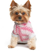 Dog Fashion Accessories6