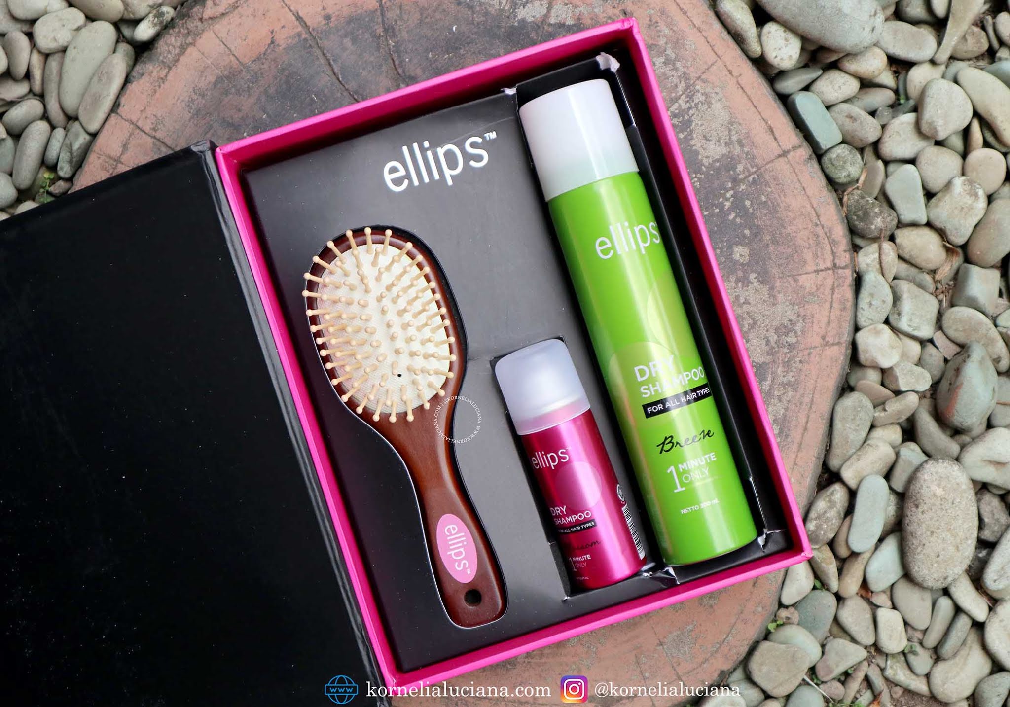 Review Ellips Dry Shampoo