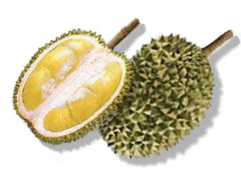 Durian