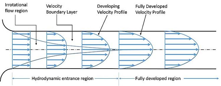 Capa límite en tubos rectos y flujo completamente desarrollado