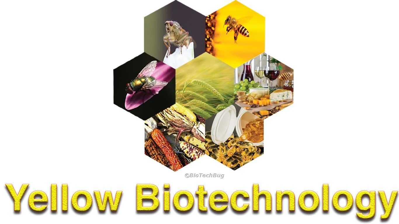 colors of biotechnology