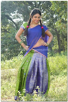 Meenakshi, milky, navel, in, half, saree, pictures