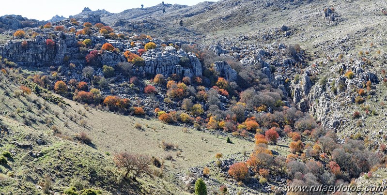 Cornicabral del Valle de Lifa