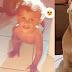 Bebê de dez meses morre após ser atacado por pitbull da avó