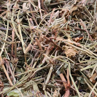 Dried Geranium Thunbergii