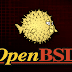 Severe Auth Bypass And Priv-Esc Vulnerabilities Disclosed In OpenBSD