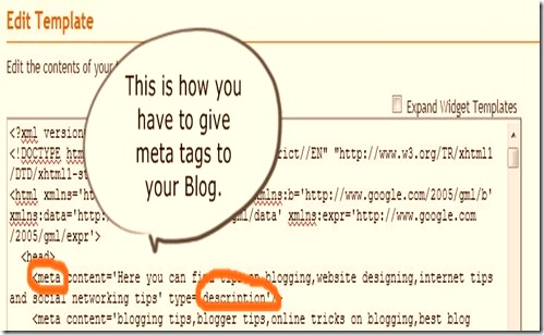 blog traffic meta tag