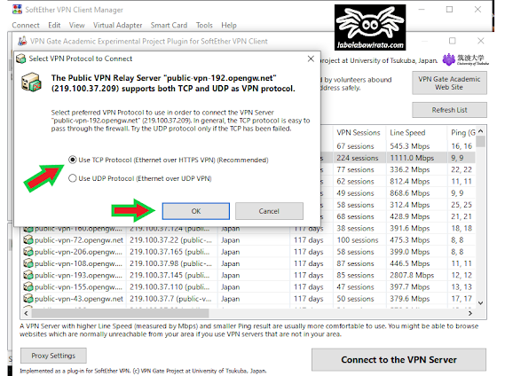 Select VPN Protocol to Connect