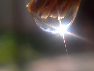 water drop