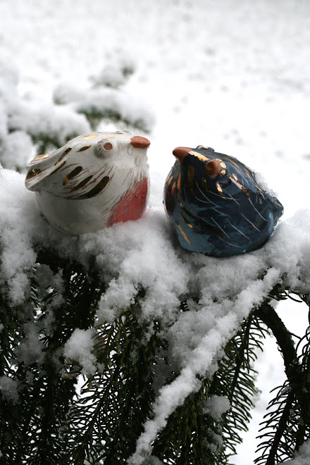 Piafs sur la branche du sapin