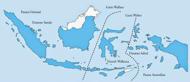 Penyebaran Keanekaragaman Fauna di Indonesia Garis Weber dan Wallace