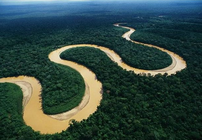 Selva
