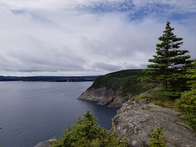 Atlantic ocean from Father Troy's Path East Coast Trail