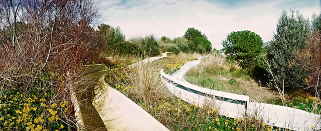 Toboganes, Water Park