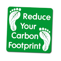 Ways You Can Reduce Your Carbon Footprint