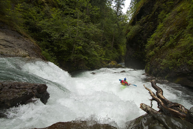 Big Quilcene - Olympic Peninsula 