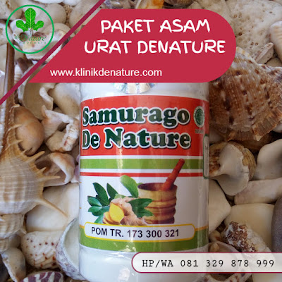 OBAT ASAM URAT DAN KOLESTEROL DI APOTIK