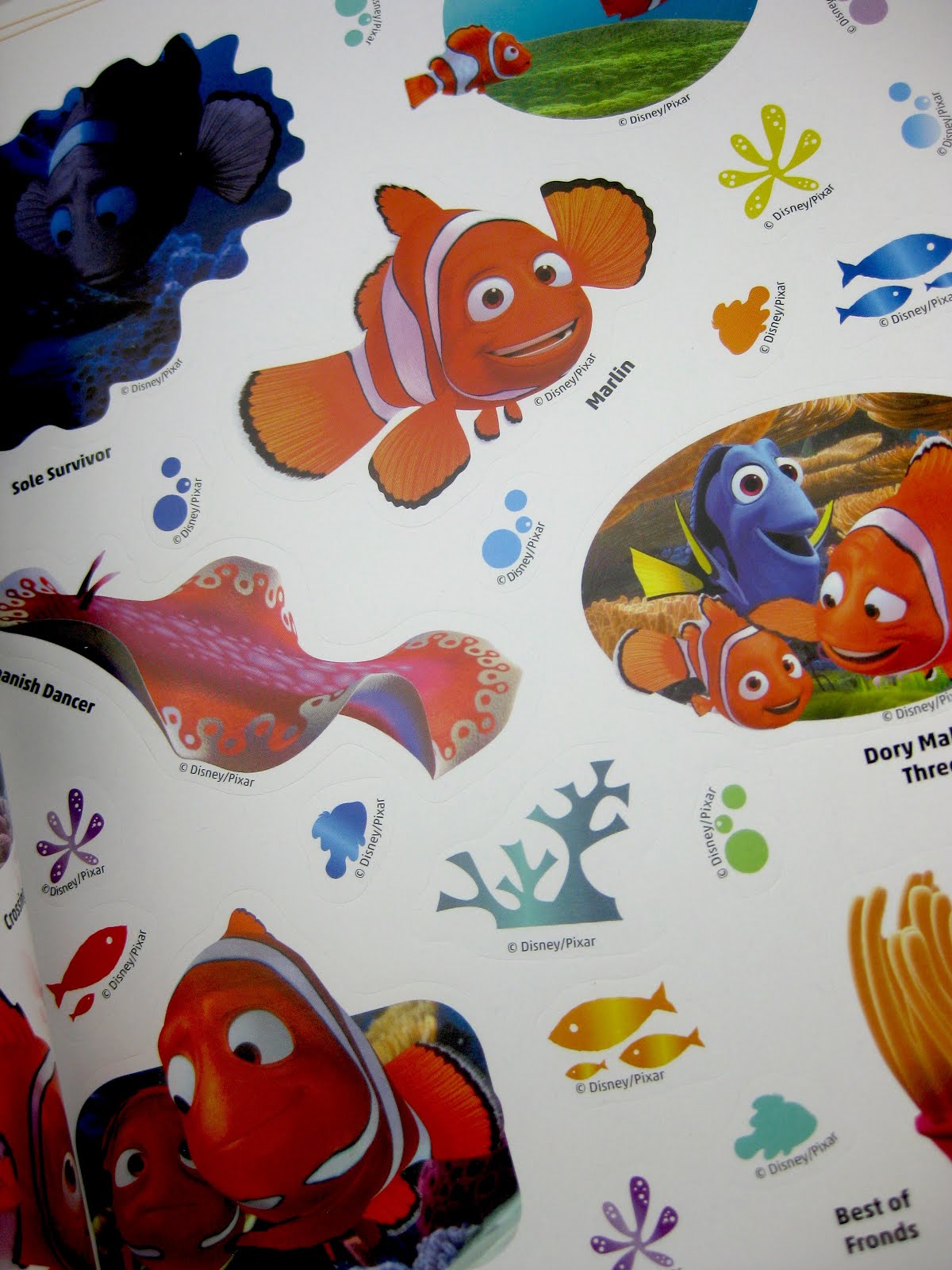 Dan the Pixar Fan Finding Dory Ultimate Sticker 