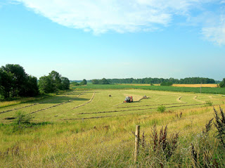 baling hay in a raked field