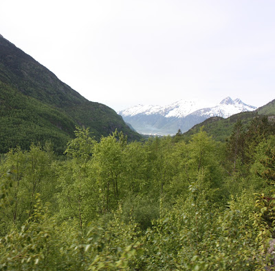 cruising the inside passage excursion