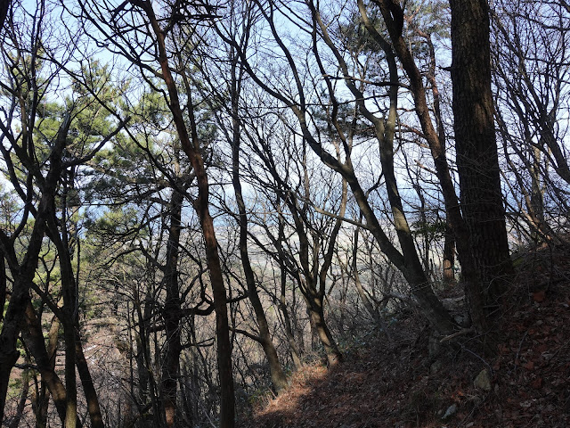 孝霊山　中腹の急な坂道