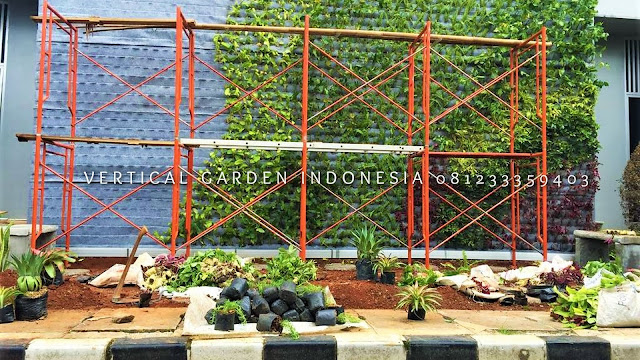 VERTICAL GARDEN INDONESIA SPESIALIS JASA PEMBUATAN VERTICAL GARDEN DI KEBUMEN JAWA TENGAH DAN DI SELURUH WILAYAH JAWA TENGAH DENGAN TENAGA YANG PROFESIONAL DAN DAPAT DI PERCAYA YANG SELALU MENGUTAMAKAN SEBUAH MUTU DAN KUALITAS PEMASANGAN VERTICAL GARDEN/TAMAN DINDING, JASA TUKANG TAMAN VERTICAL KEBUMEN JAWA TENGAH, JASA VERTICAL GARDEN KEBUMEN JAWA TENGAH