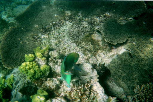 file-3-2012-09-7-00-04-2012-09-7-00-04.jpg
