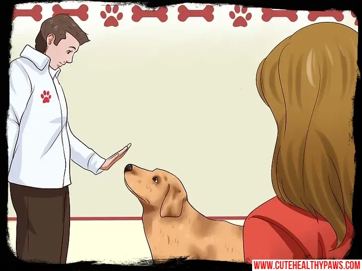 stop the dog's annoying barking