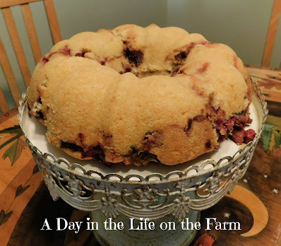 Strawberry Rhubarb Bundt Cake