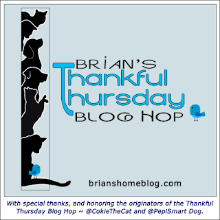 Thankful Thursday blog hop