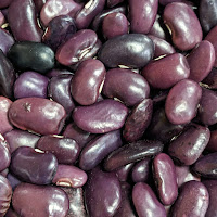 Mix of dark purple and black beans.