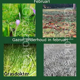 gazon in februari