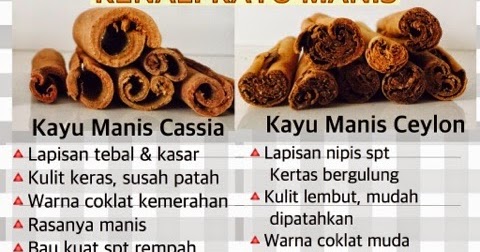 Gambar Kayu Manis Cassia