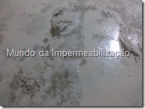 impermeabilizando (7)