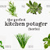 ✔19+ Unbelievable Cooking List Of Herbs With Pictures