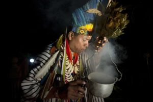 Experience Ayahuasca  At Licensed Ayahuasca Resort