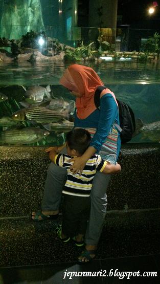 Mengembara dunia ikan di Aquaria KLCC