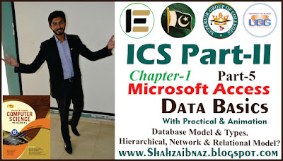 ICS part 2 Computer Lectures Chapter 1 Database Model and Its Types